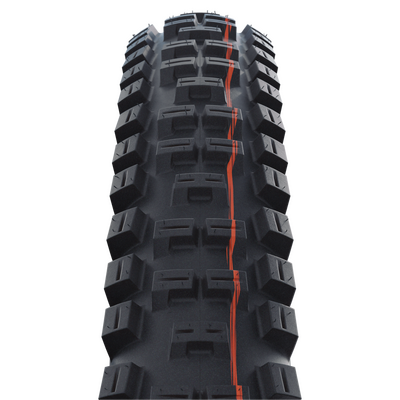 DIŞ LASTİK 29x2.40 BIG BETTY Super Trail, E-50 11654414